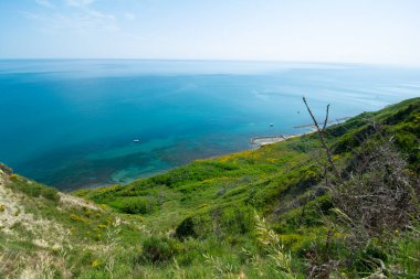San Bartolo bölge parkı Marche bölgesi - süpürge ağaçları ve şeffaf yeşil deniz suyu.