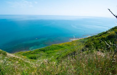 San Bartolo bölge parkı Marche bölgesi - süpürge ağaçları ve şeffaf yeşil deniz suyu.