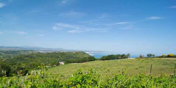 Regionalpark San Bartolo Region Marken Ginsterbäume Und Klares Grünes Meerwasser — Stockfoto