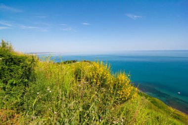 San Bartolo bölge parkı Marche bölgesi - süpürge ağaçları ve şeffaf yeşil deniz suyu.