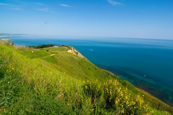 stock image San Bartolo regional park Marche region - broom trees and transparent green sea water.