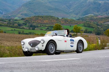 CAGLI, ITALY - OTT 24 - 2020: AUSTIN HEALEY 100 / 4 BN1 1954 Mille Miglia 2020 rallisindeki eski bir yarış arabası üzerine ünlü İtalyan tarihi yarışı (1927-1957)