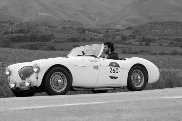 Cagli イタリア Ott 2020年 Austin Healey 100 Bn1 1954年 ラリーで古いレースカーでミル — ストック写真