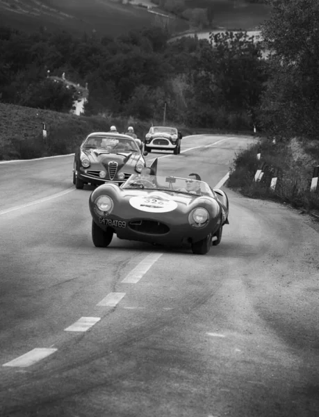 Cagli Itália Ott 2020 Jaguar Type 1955 Velho Carro Corrida — Fotografia de Stock