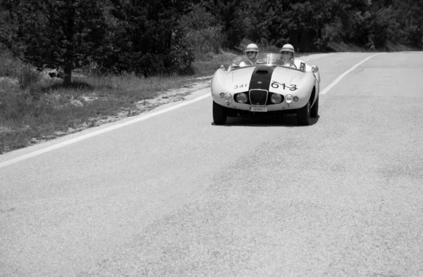 Urbino Italien Jun 2022 Arnolt Bristol Bolide 1954 Gammal Racerbil — Stockfoto