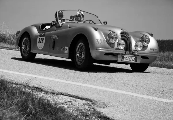 Urbino Italy Haziran 2022 Jaguar Xk120 Ots Yoadster 1954 Mille — Stok fotoğraf