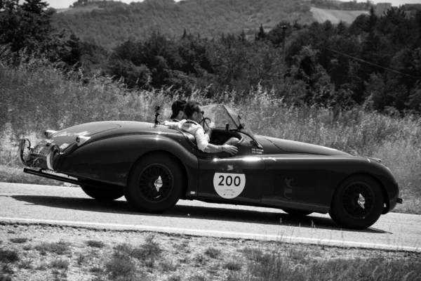 Urbino Italie Juin 2022 Jaguar Xk120 Ots Roadster 1951 Sur — Photo