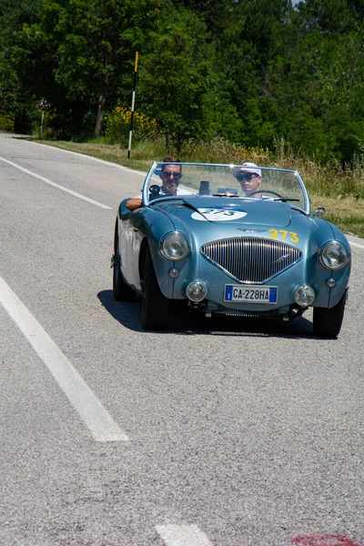 Taly Jun 2022 Austin Healey 100 1953 Viejo Coche Carreras — Foto de Stock