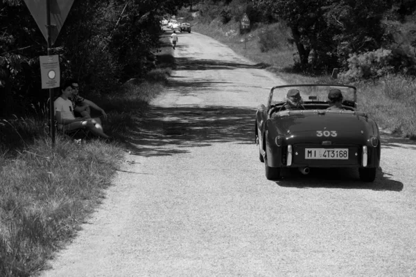 Urbino ตาล นายน 2022 Triumph Tr2 Sports 1954 บนรถแข งเก — ภาพถ่ายสต็อก