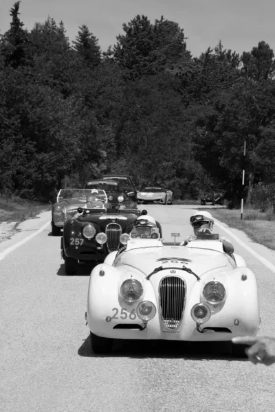 Urbino Italy Jun 2022 Jaguar Xk120 Ots Roadster 1953 Old — Fotografia de Stock