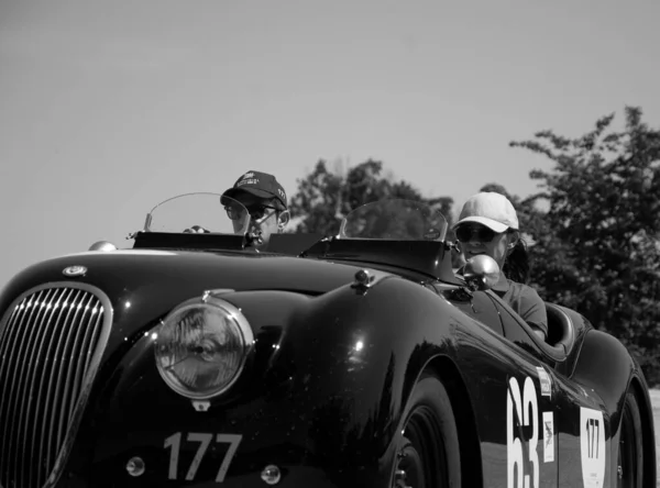 Urbino Italy Jun 2022 Jaguar Xk120 Ots Roadster 1950 Old — 스톡 사진