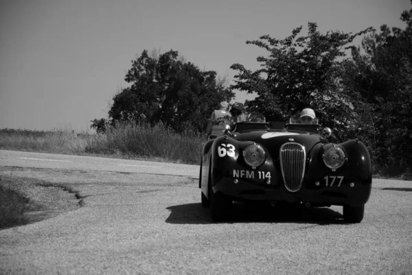 Urbino ตาล นายน 2022 Jaguar Xk120 Ots Roadster 1950 บนรถแข — ภาพถ่ายสต็อก