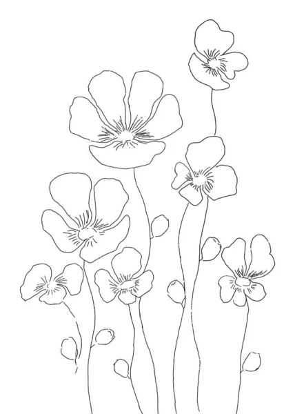 Flores botánica pansies ilustración flores silvestres ramo — Foto de Stock