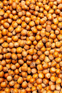 Background with hazelnuts nuts