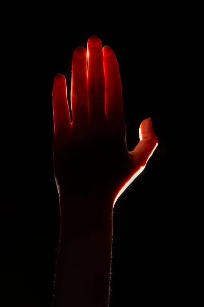 Magiczne czerwone światło świeci z góry na dłoni. palma, wolne miejsce do projektowania. — Zdjęcie stockowe