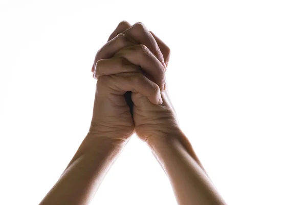 Prier les mains croisées sur fond blanc. Lumière d'en haut. Les mains jointes dans la prière. — Photo