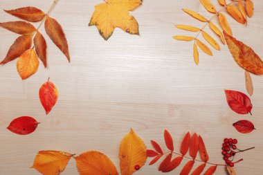 Sonbahar çerçevesi, sarı akçaağaç yaprakları tahtanın üzerinde,