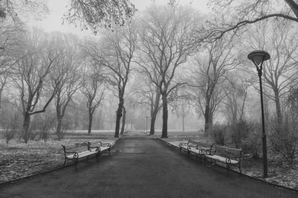 In het park — Stockfoto