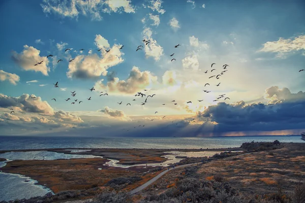 Pôr do sol sobre o mar com pássaros voando ponte oresunds — Fotografia de Stock
