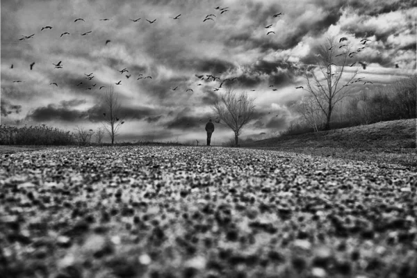 Lonely man walking in the park — Stock Photo, Image