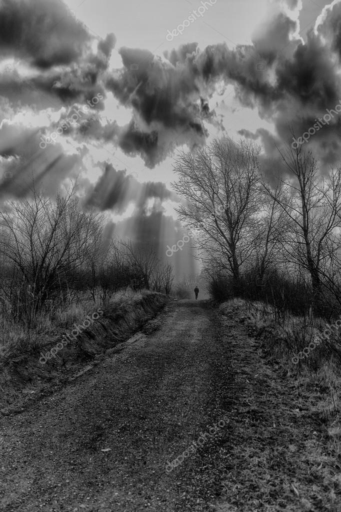 Homme Solitaire Qui Marche Dans Le Parc Photographie