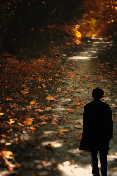 Uomo solitario in piedi nella foresta autunnale — Foto Stock