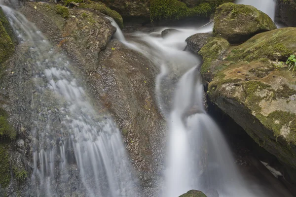 Зелений ліс з водоспадом — стокове фото