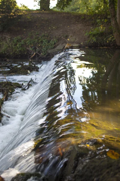 Bosque verde con cascada — Foto de Stock