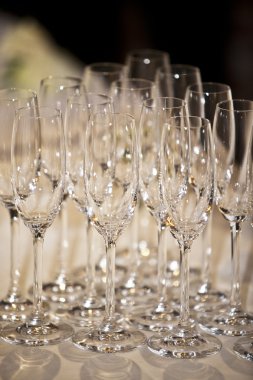 Şampanya bardakları