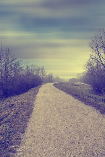 Paesaggio astratto con albero — Foto Stock