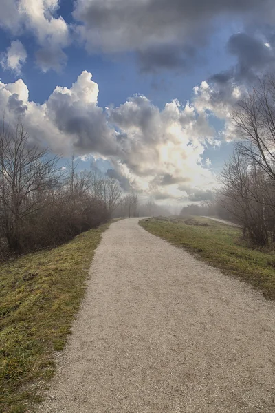 Paesaggio astratto con albero — Foto Stock