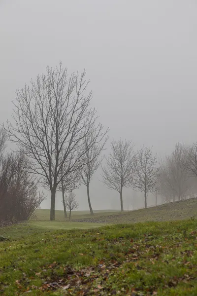 Misty manhã — Fotografia de Stock