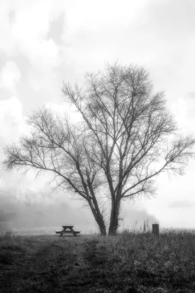 Аннотация Пейзаж с деревом — стоковое фото