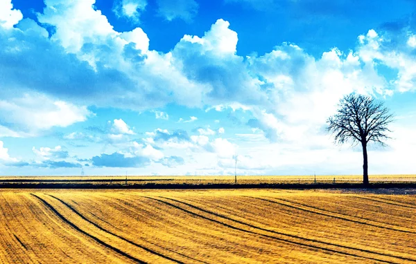 Paesaggio astratto con albero — Foto Stock