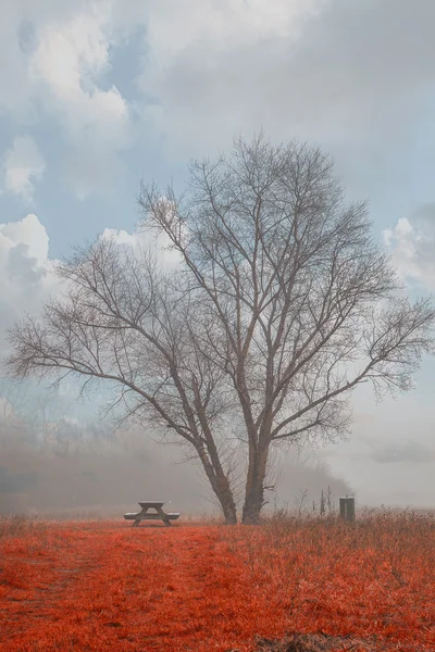 Abstrakte Landschaft mit Baum — Stockfoto