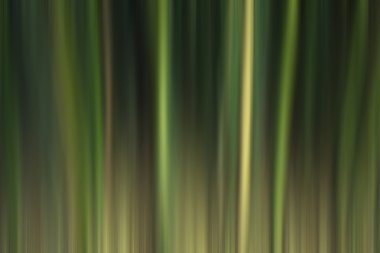 hareket soyut orman arka plan bulanıklık