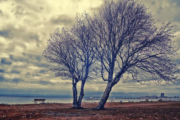 Träd landskap — Stockfoto