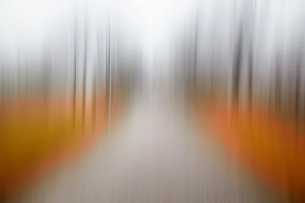 Abstract colorful road in forest — Stock Photo, Image