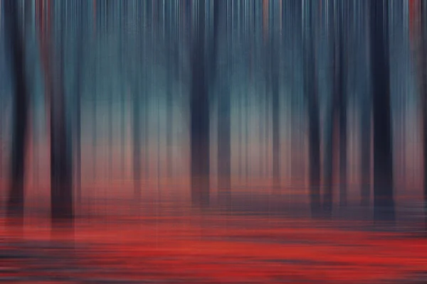 Forest abstract — Stock Photo, Image