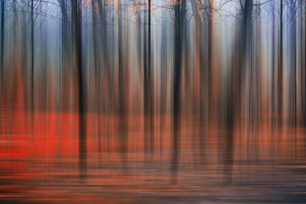 Abstrakter Wald — Stockfoto