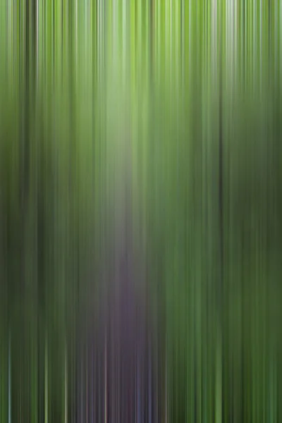 Forest abstract — Stock Photo, Image