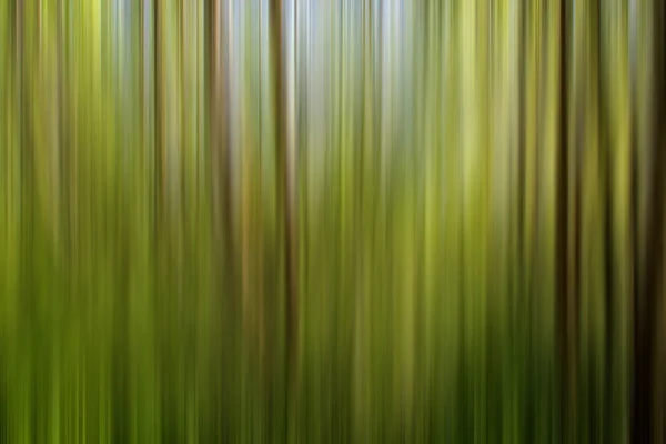 Streszczenie lasu — Zdjęcie stockowe