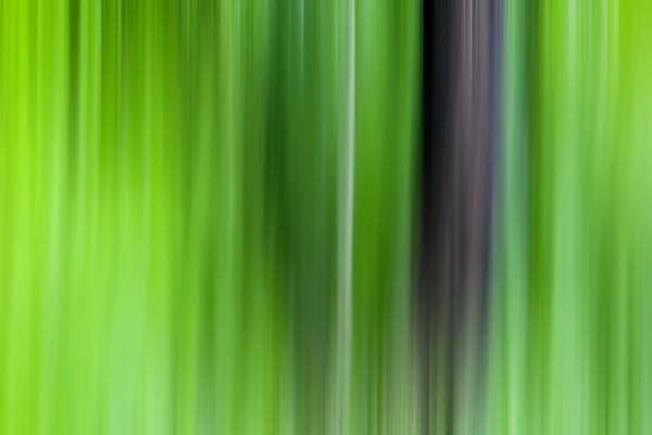 Bos abstract — Stockfoto