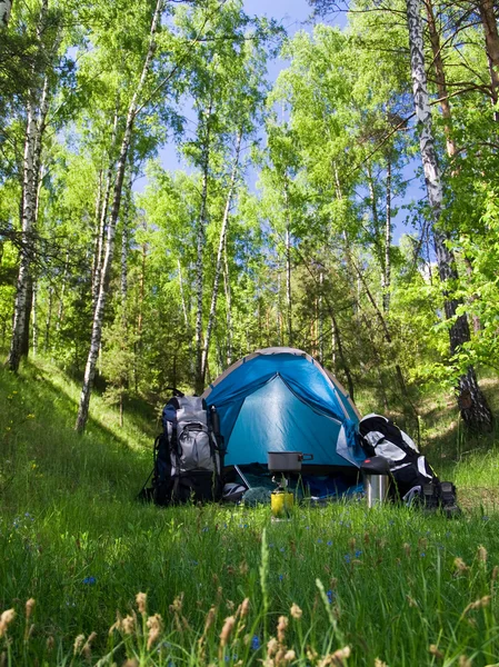 Camping in een bos — Stockfoto