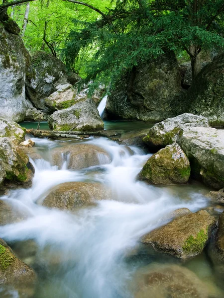 Fluxo de floresta — Fotografia de Stock