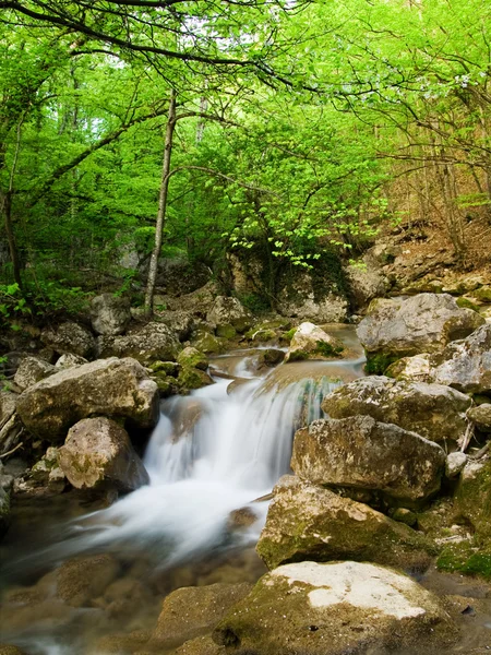 Woodland stream — Stock Photo, Image