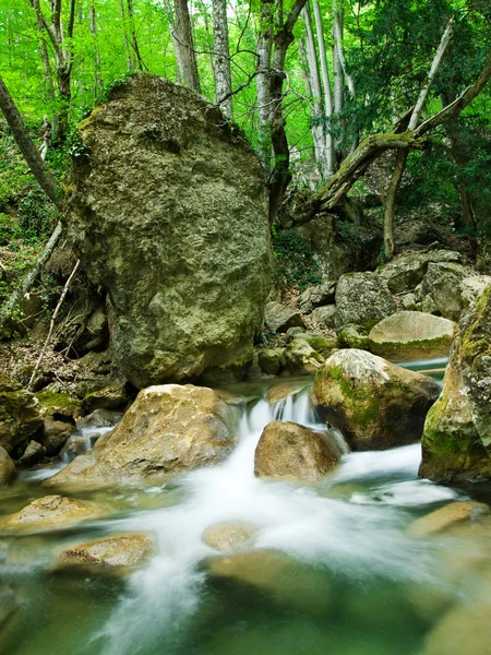 Woodland stream — Stock Photo, Image