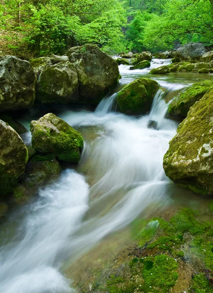 Woodland stream — Stock Photo, Image