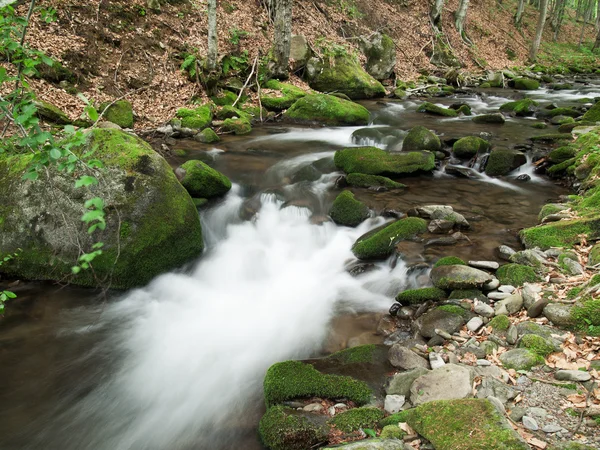 Woodland Stream. — Stock Photo, Image