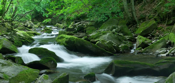 orman akarsu. XXL boyutu.